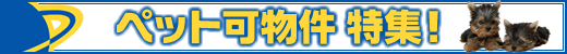 T̂ߒݕ