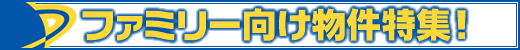 T̂ߒݕ